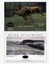 Page: - 64J | Architectural Digest