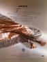 Page: - 65 | Architectural Digest