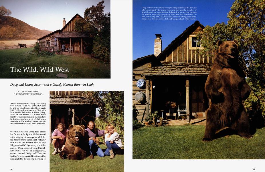 The Wild, Wild West