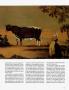 Page: - 121 | Architectural Digest