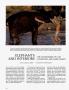 Page: - 146 | Architectural Digest