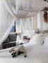 Page: - 116 | Architectural Digest