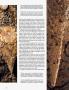 Page: - 114 | Architectural Digest