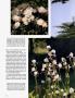 Page: - 126 | Architectural Digest