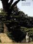 Page: - 127 | Architectural Digest