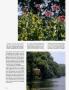 Page: - 130 | Architectural Digest
