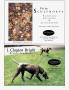 Page: - A17 | Architectural Digest