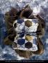 Page: - mm2 | Architectural Digest