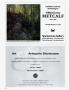 Page: - A12 | Architectural Digest