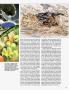 Page: - 79 | Architectural Digest