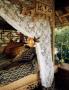 Page: - 118 | Architectural Digest
