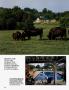 Page: - 166 | Architectural Digest