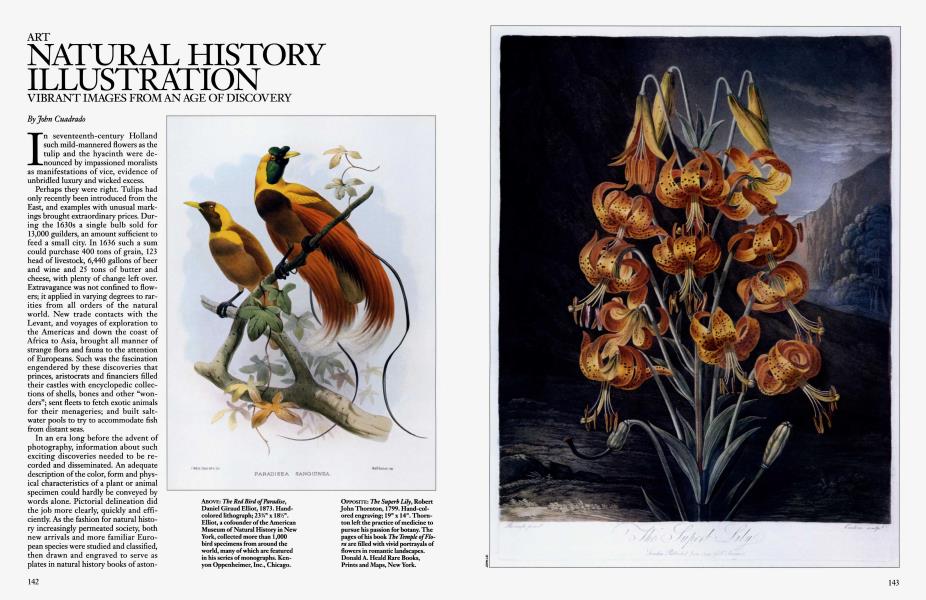 ART: NATURAL HISTORY ILLUSTRATION