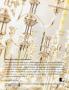 Page: - 83 | Architectural Digest