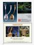 Page: - mm34 | Architectural Digest