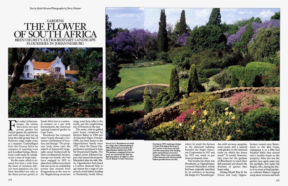 THE FLOWER OF SOUTH AFRICA