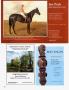Page: - 70 | Architectural Digest