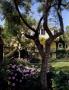 Page: - 221 | Architectural Digest