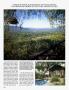 Page: - 244 | Architectural Digest