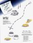 Page: - 24D | Architectural Digest