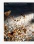 Page: - 4 | Architectural Digest