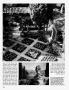 Page: - 268 | Architectural Digest