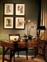 Page: - 270 | Architectural Digest