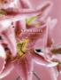 Page: - 45 | Architectural Digest
