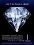 Page: - 172A | Architectural Digest
