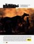 Page: - 79 | Architectural Digest