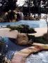Page: - 128C | Architectural Digest
