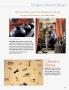 Page: - 261 | Architectural Digest