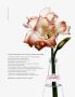 Page: - 31 | Architectural Digest