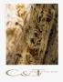 Page: - 35 | Architectural Digest
