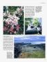 Page: - 71 | Architectural Digest
