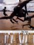 Page: - 43 | Architectural Digest