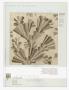 Page: - 64W | Architectural Digest