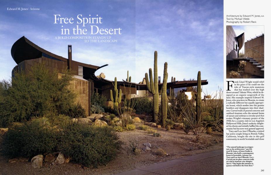 Free Spirit in the Desert