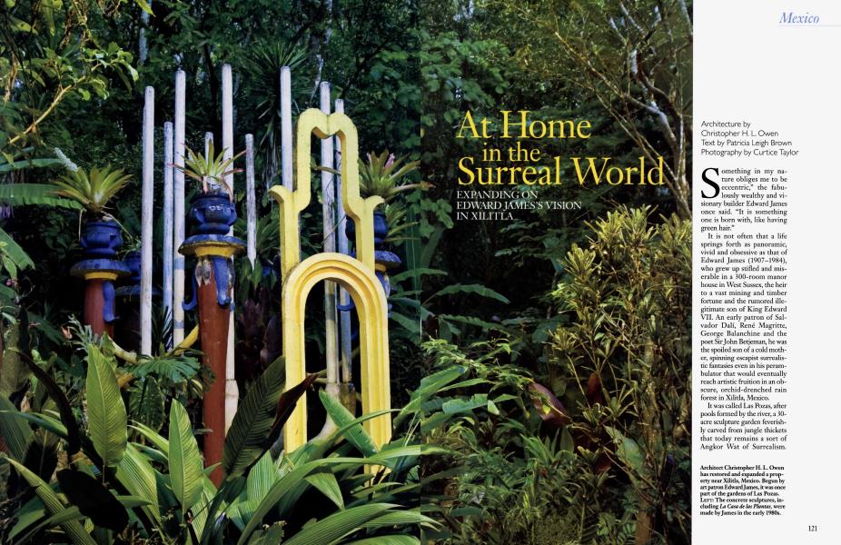 At Home in the Surreal World
