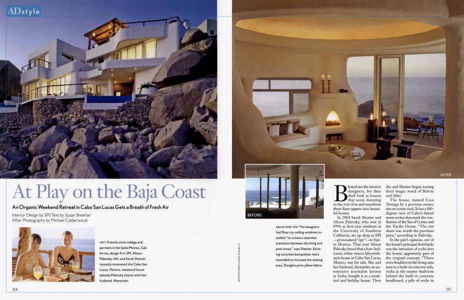 At Play on the Baja Coast