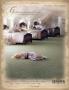 Page: - 133 | Architectural Digest