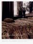 Page: - 8 | Architectural Digest