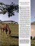 Page: - 132 | Architectural Digest