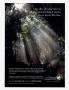 Page: - 40P | Architectural Digest