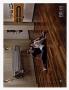 Page: - 63 | Architectural Digest
