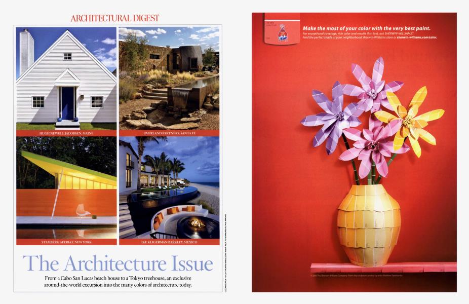 The Architecture Issue
