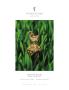 Page: - MM4 | Architectural Digest