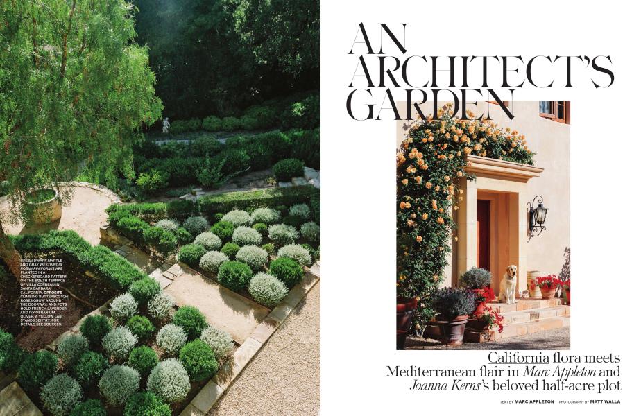 AN ARCHITECT'S GARDEN