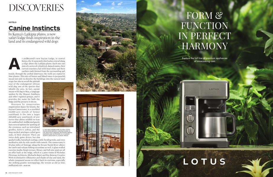 HOTELS Canine Instincts