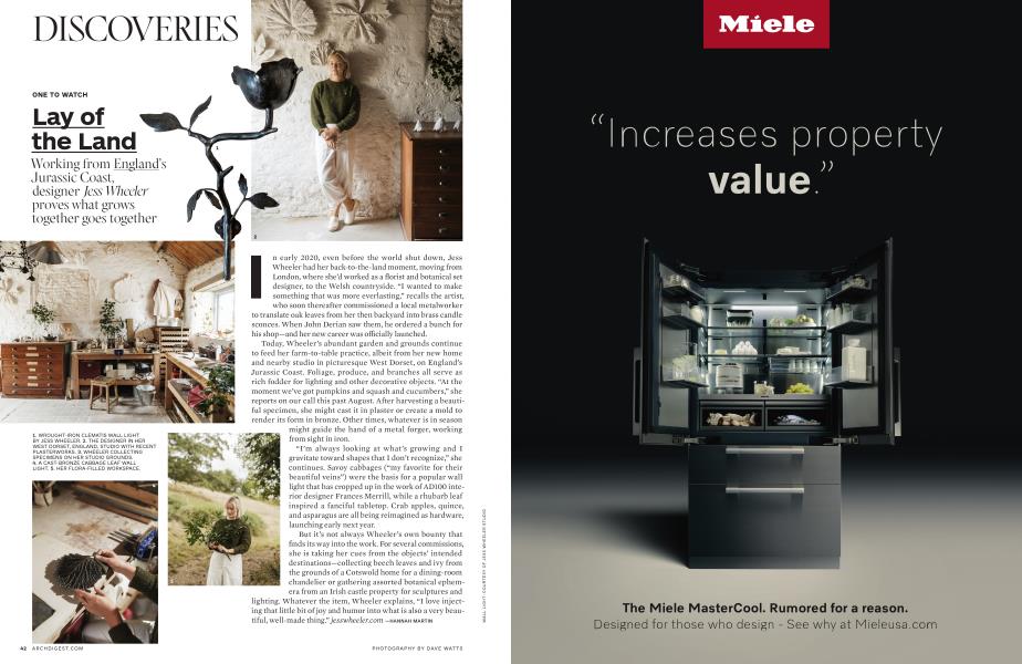 ONE TO WATCH Lay of the Land